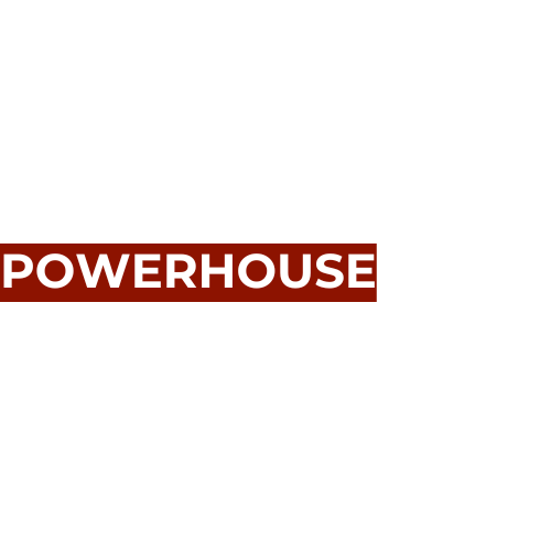 Logo animation placeholder